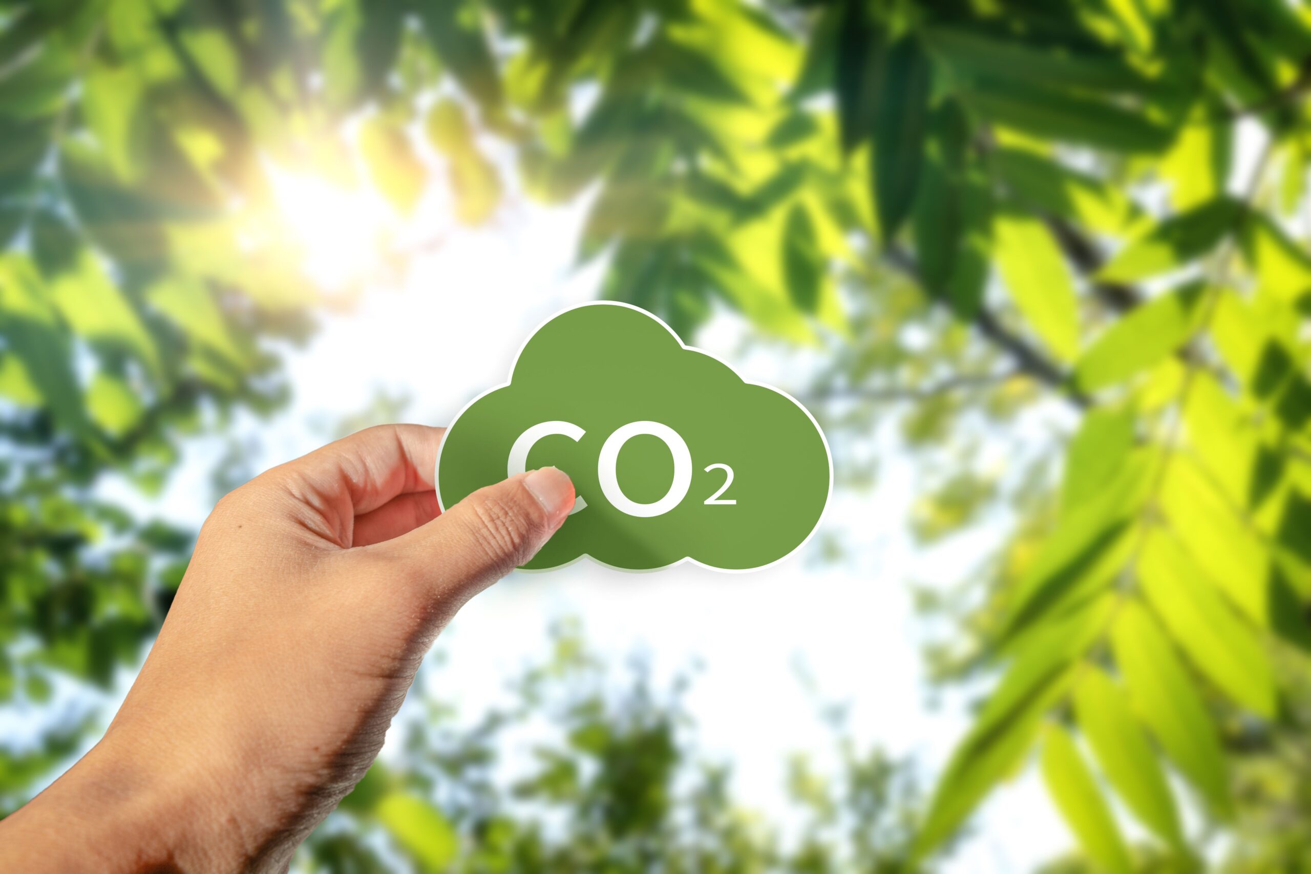 A green CO2 sign in a hand on blurred green leaves background